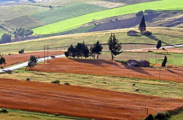 Campo colombiano